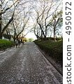 Sakurado 4950572