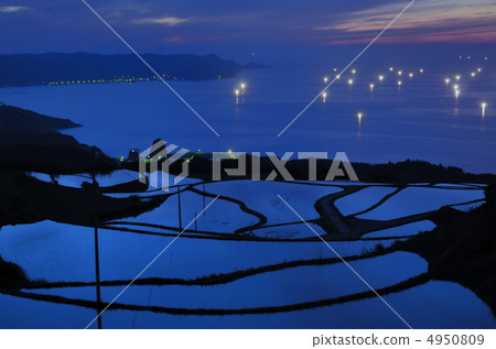 Rice paddy fields and fishing fires in Odori Toho field Rice paddy fields and fishing fires in Odori Toho field 4950809