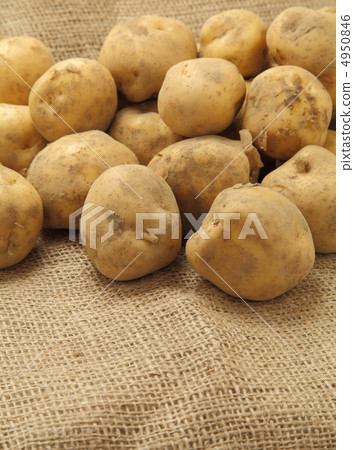 Potatoes 4950846