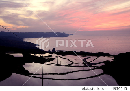 Evening landscape of the rice terraces of the Odori Ootashi field Evening landscape of the rice terraces of the Odori Ootashi field 4950943