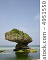Mushroom rock 4951550