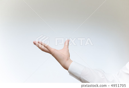 Palm 4951705