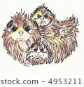three guinea pigs. picture 4953211