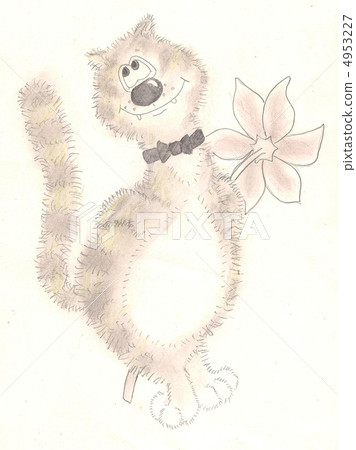 Cat with a flower. picture Cat with a flower. picture 4953227