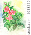 rose, watercolor 4953229