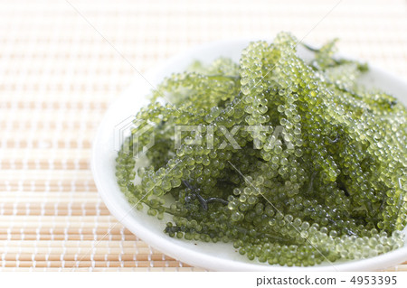    Sea grapes 4953395