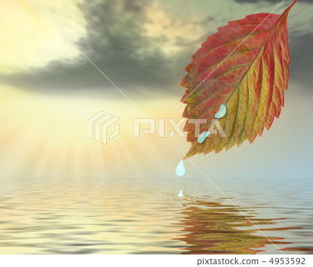 Autumn leaf above water in beams yellow sunset 4953592
