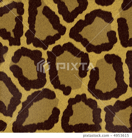 textures animal textures animal 4953615