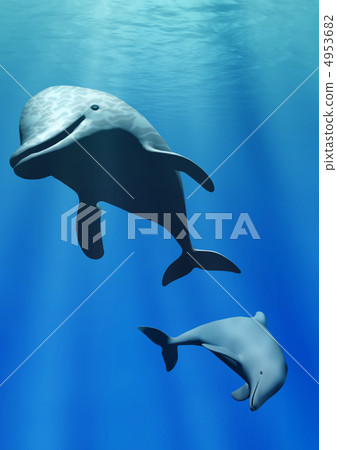Dolphins under water 4953682