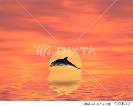 Dolphins on a decline Dolphins on a decline 4953683