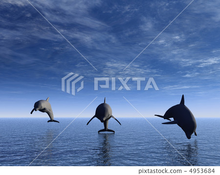 dolphin in front 4953684