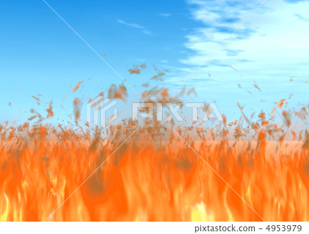 Fire 4953979