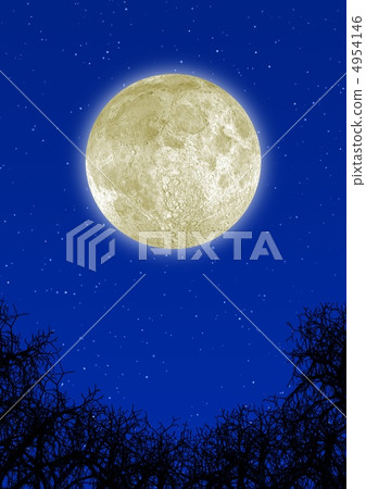 Highly detailed moon 4954146