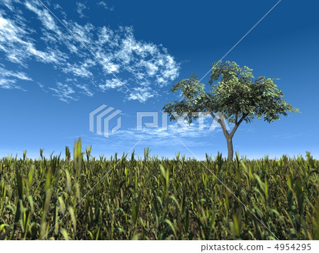 木頭 木 樹木 4954295