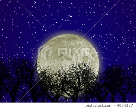 Moon and forest Moon and forest 4954357