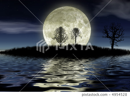 romantic night 4954528