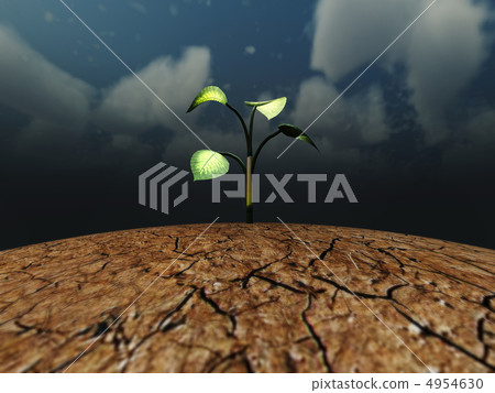 Plant on the cracked dry ground 4954630