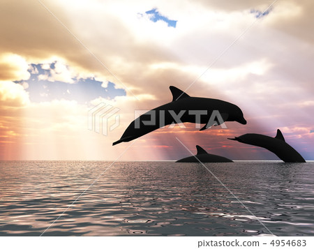 three dolphin and fantastic sky 4954683
