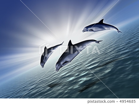 Three dolphin diagonal Three dolphin diagonal 4954685