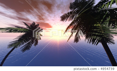 Sunset on a background of branches of palm trees - 8 mm Sunset on a background of branches of palm trees - 8 mm 4954739