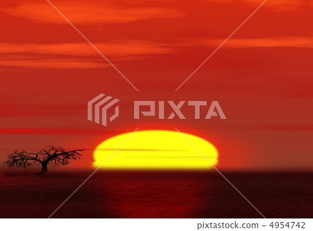 Sunset in desert 4954742