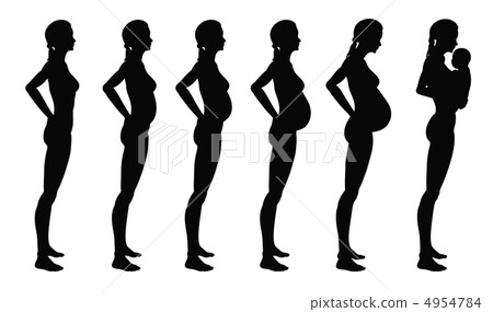Stages of pregnancy of the woman 4954784