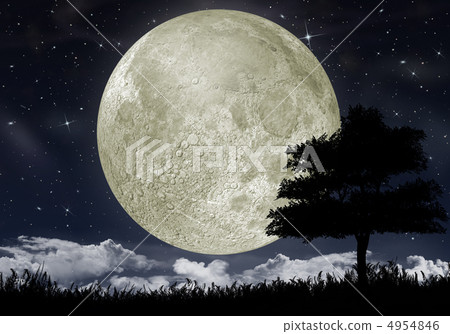 Silhouette of a tree against the big moon 4954846