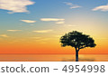 Tree growing from water 4954998