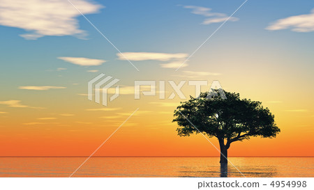 Tree growing from water 4954998