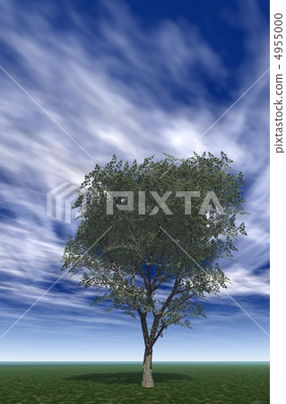 Tree alone vertical 4955000