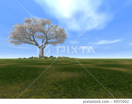 Tree alone Tree alone 4955002