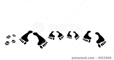 traces of family traces of family 4955009