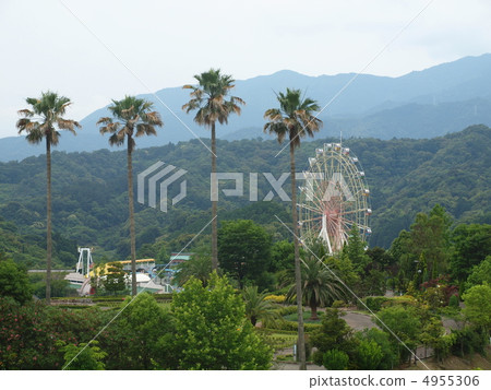 德島植物園的摩天輪 德島植物園的摩天輪 4955306
