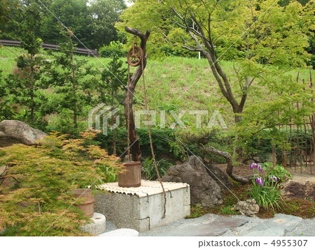 德島植物園釣魚瓶 德島植物園釣魚瓶 4955307