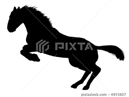 Horse  4955607