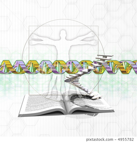 人體圖和DNA /基因序列 人體圖和DNA /基因序列 4955782