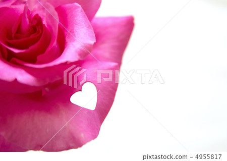 Heart 2 for rose petals Heart 2 for rose petals 4955817