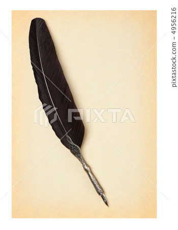 Feather quill  on an old paper 4956216