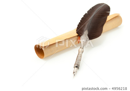 Feather quill and parchment roll. Isolated on white Feather quill and parchment roll. Isolated on white 4956218