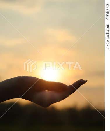 The sun in hand The sun in hand 4956220