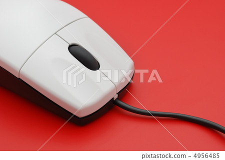 The computer mouse 4956485