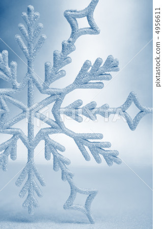 Snowflake big closeup 4956611