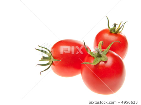 tomatoes in row 4956623