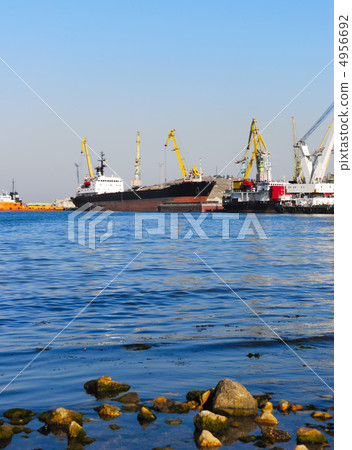 The trading ships in port 4956692