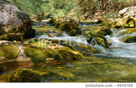 Mountain river Mountain river 4956768