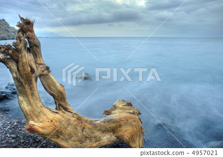 The night sea and timber 4957021