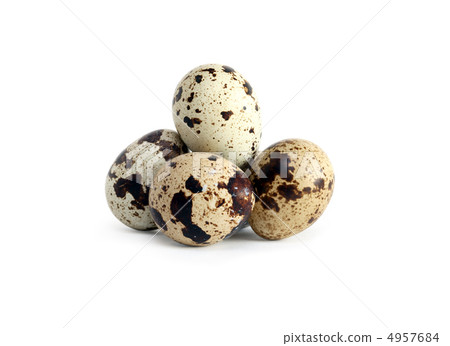 Quail Eggs 4957684