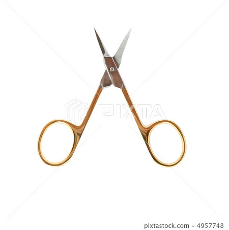 Manicure Scissors On White 4957748