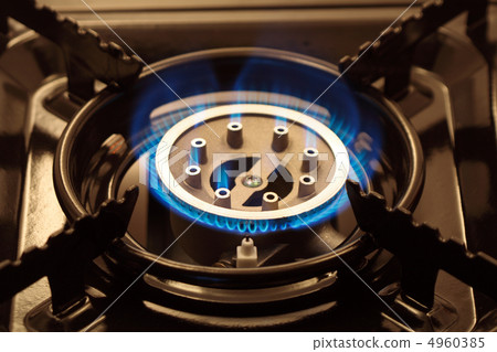 Gas Range 4960385