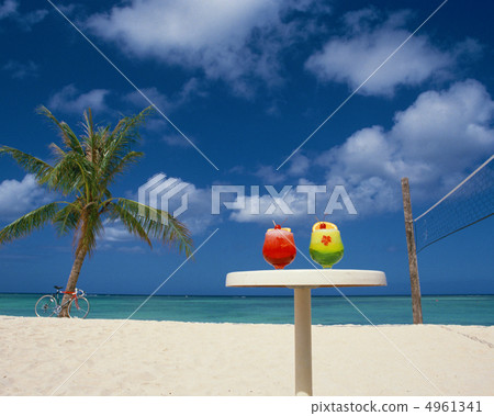 Tropical · Vacation 4961341